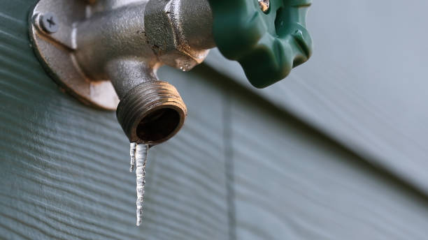 Best Emergency Plumber  in Warrensburg, MO