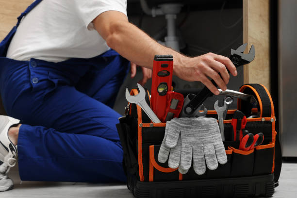 Best Toilet Repair Services  in Warrensburg, MO